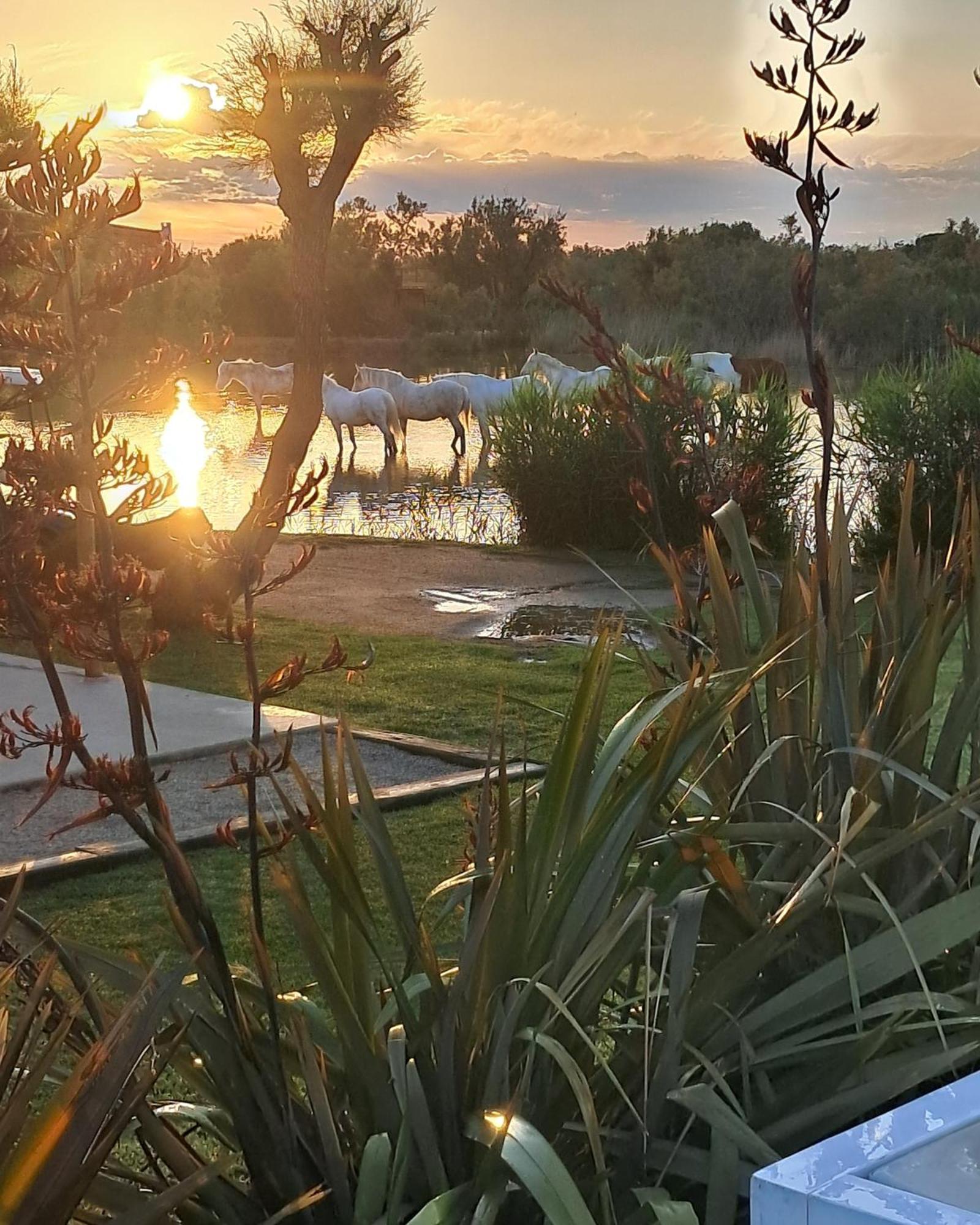 Mas Des Cabidoules Bed & Breakfast Saintes-Maries-de-la-Mer Luaran gambar