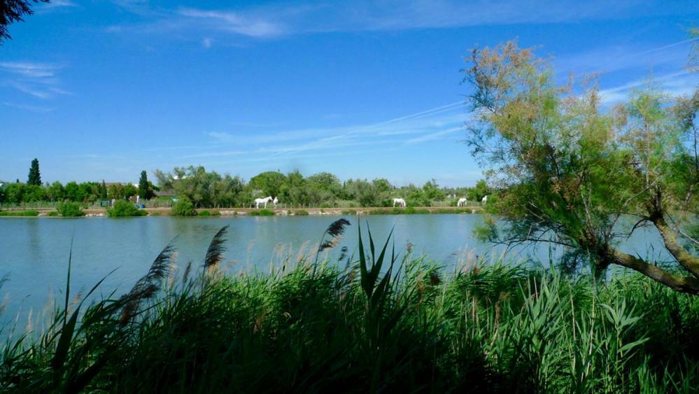 Mas Des Cabidoules Bed & Breakfast Saintes-Maries-de-la-Mer Luaran gambar