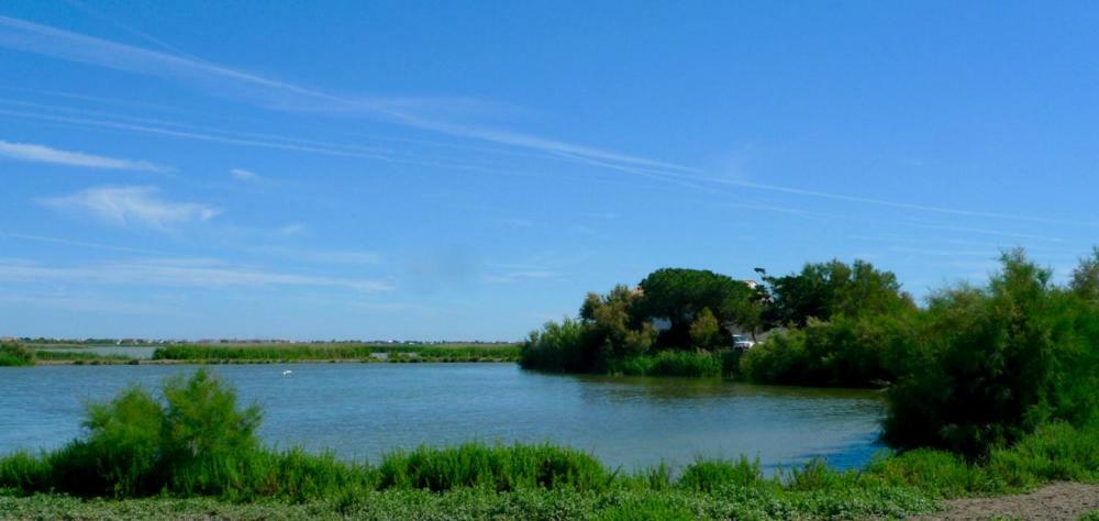 Mas Des Cabidoules Bed & Breakfast Saintes-Maries-de-la-Mer Luaran gambar